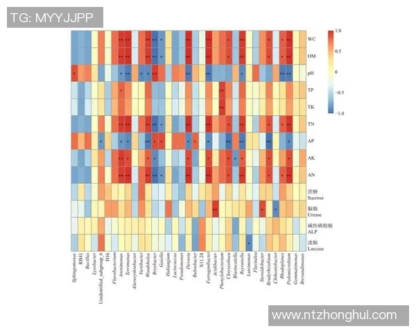 上海网球队技术表现分析及其对比赛成绩的影响探讨